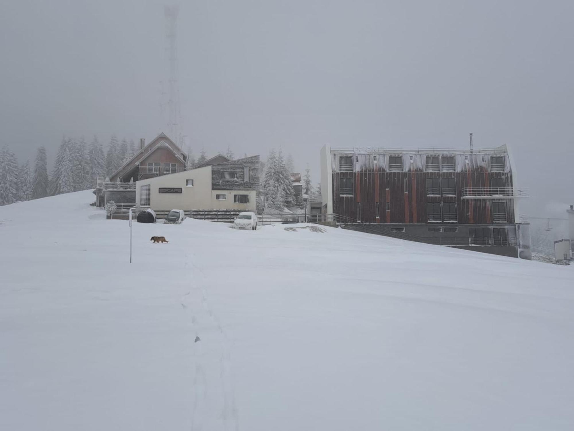 Ozone Lodge